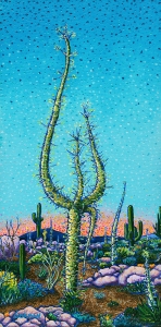 Boojum Tree  Brad Gorman