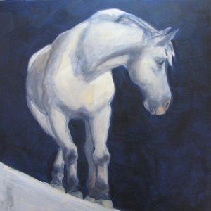 The Grey by Elizabeth  Wonnacott