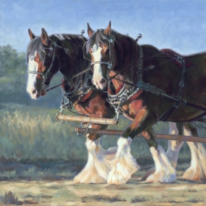 Pearl And Shine by Laura Shepard