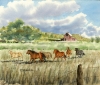 Montana Horse Ranch by Laine Dobson