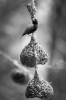 Lake Eyasi Birdhouse by Karsten Balsley