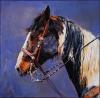 Paint by Sophy Brown