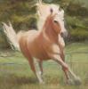 Amazing Grace by Judy Greenan