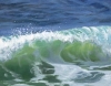 Wave by Anastasia Horwith
