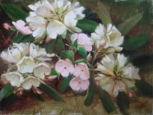 Rhododendrons by Tatiana Yanovskaya  Tatiana  Yanovskaya