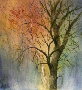 Baum Studie  Petra Ackermann