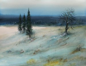 Up North  Petra Ackermann