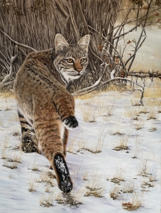 Camouflage by Michelle Mitchell