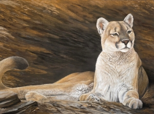 Sacred Hunter by Michelle Mitchell